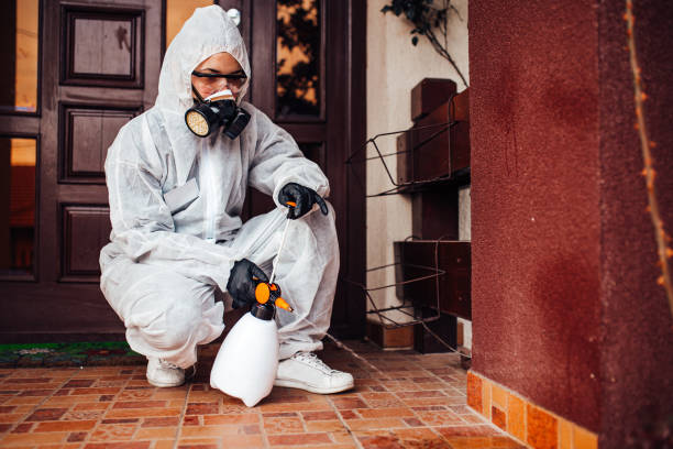 Reliable Wasp Removal contractor in Sioux Center, IA by Show Me Pest Control